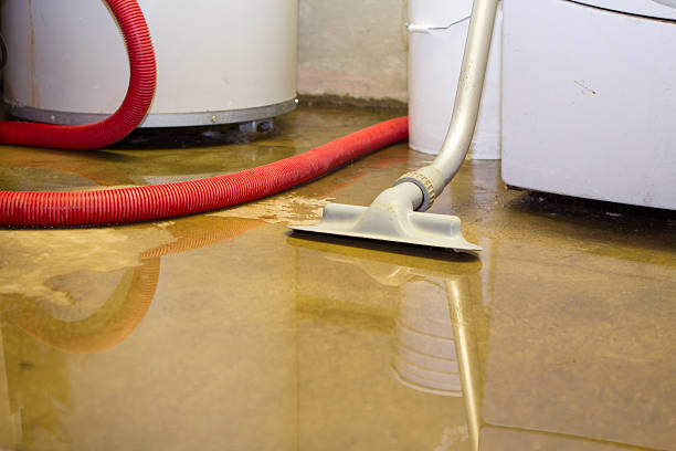 Best Local water damage restoration  in Riner, VA