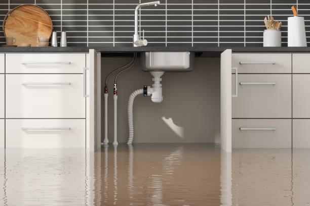 Best Flood damage cleanup  in Riner, VA