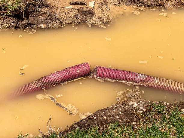 Local water damage restoration in VA
