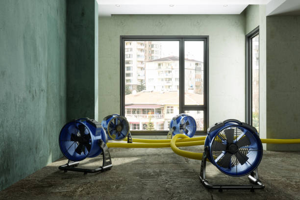 Best Water damage restoration near me  in Riner, VA